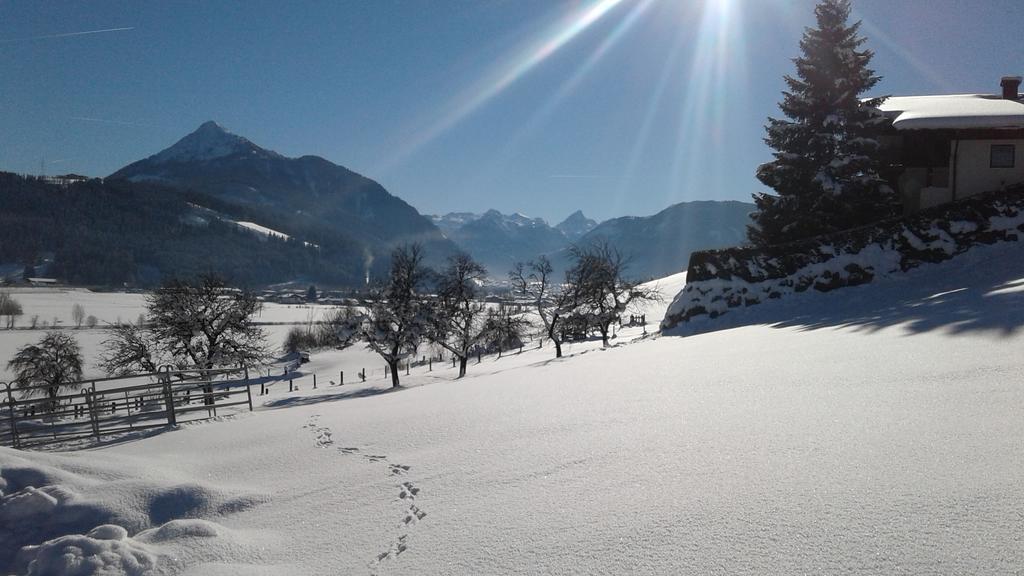 Oberfischergut ฟลาคเฮา ภายนอก รูปภาพ